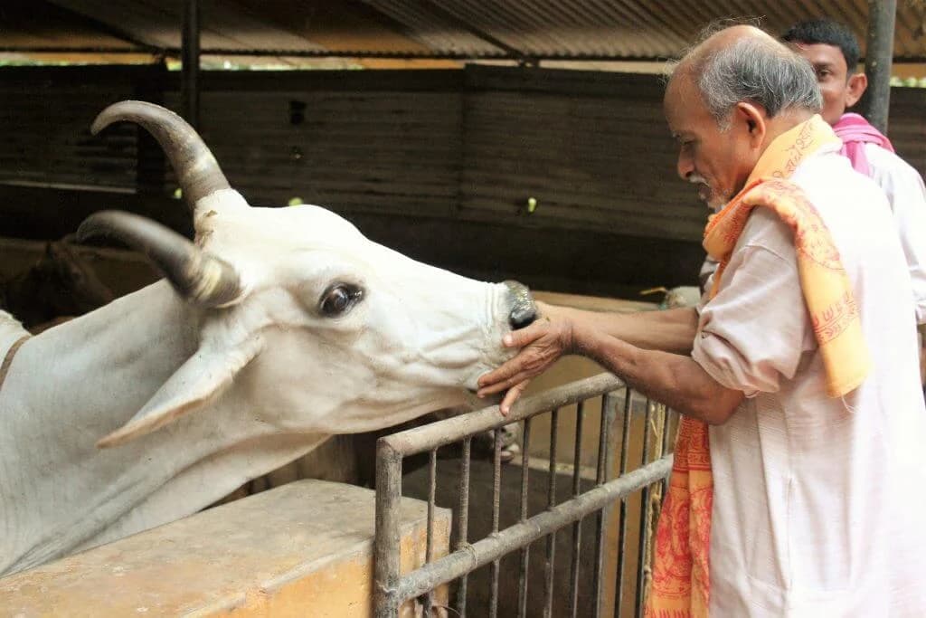 Pitru Paksha Seva