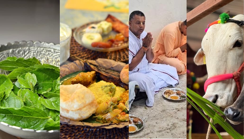 Ekadashi Daan