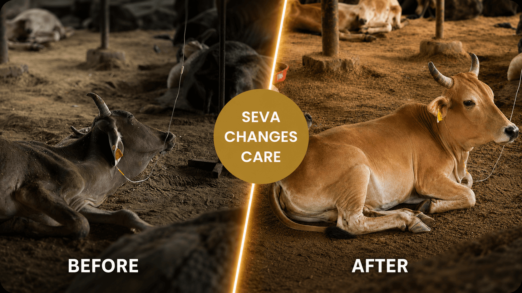 Seva changes care — before and after