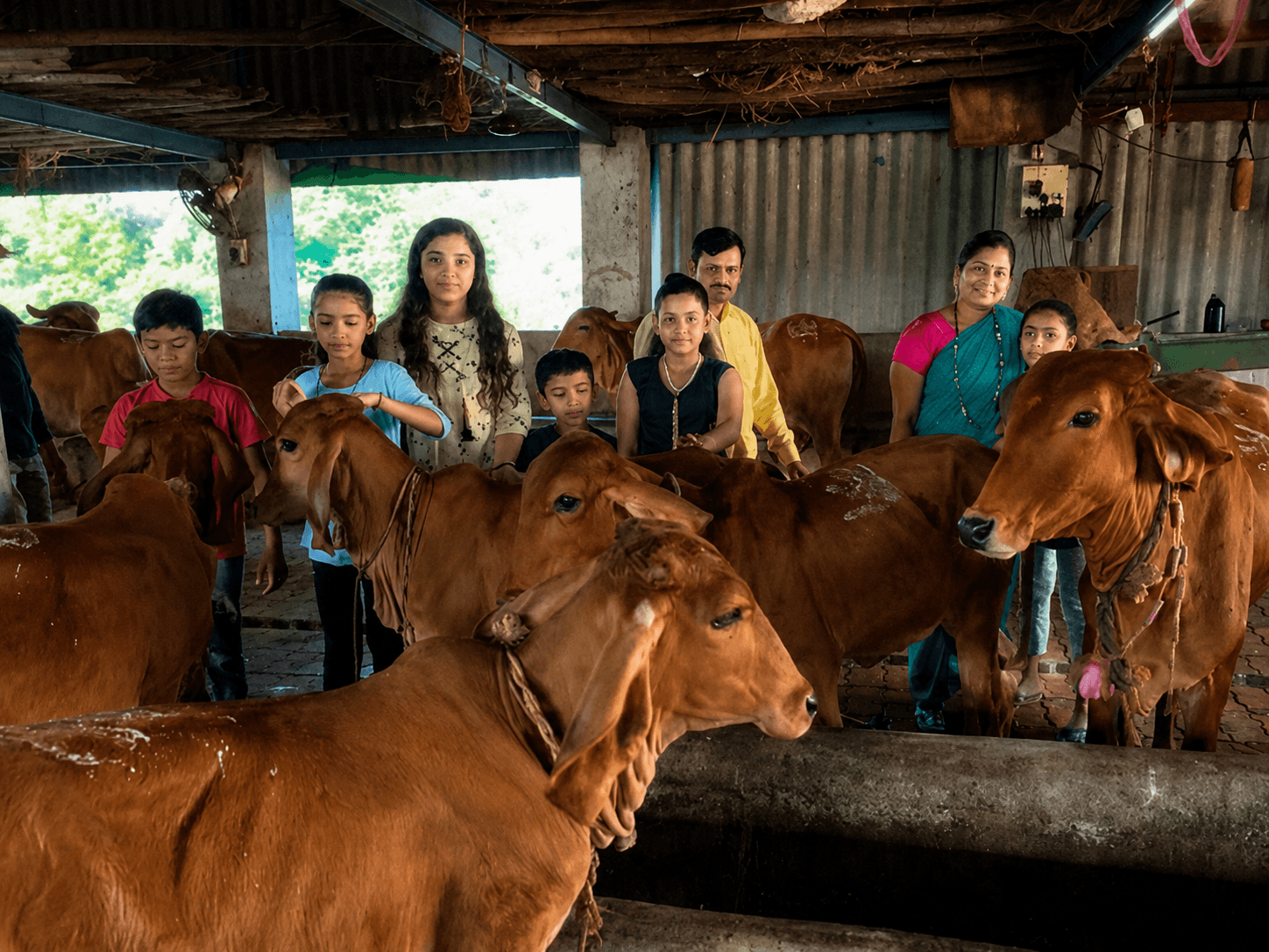Gau Seva Moment 2