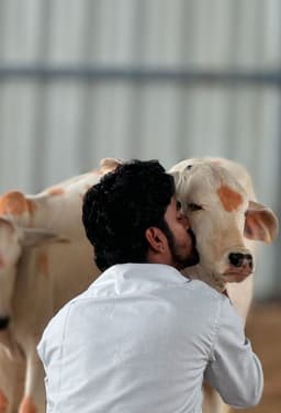 Adopt Cow for 1 Month