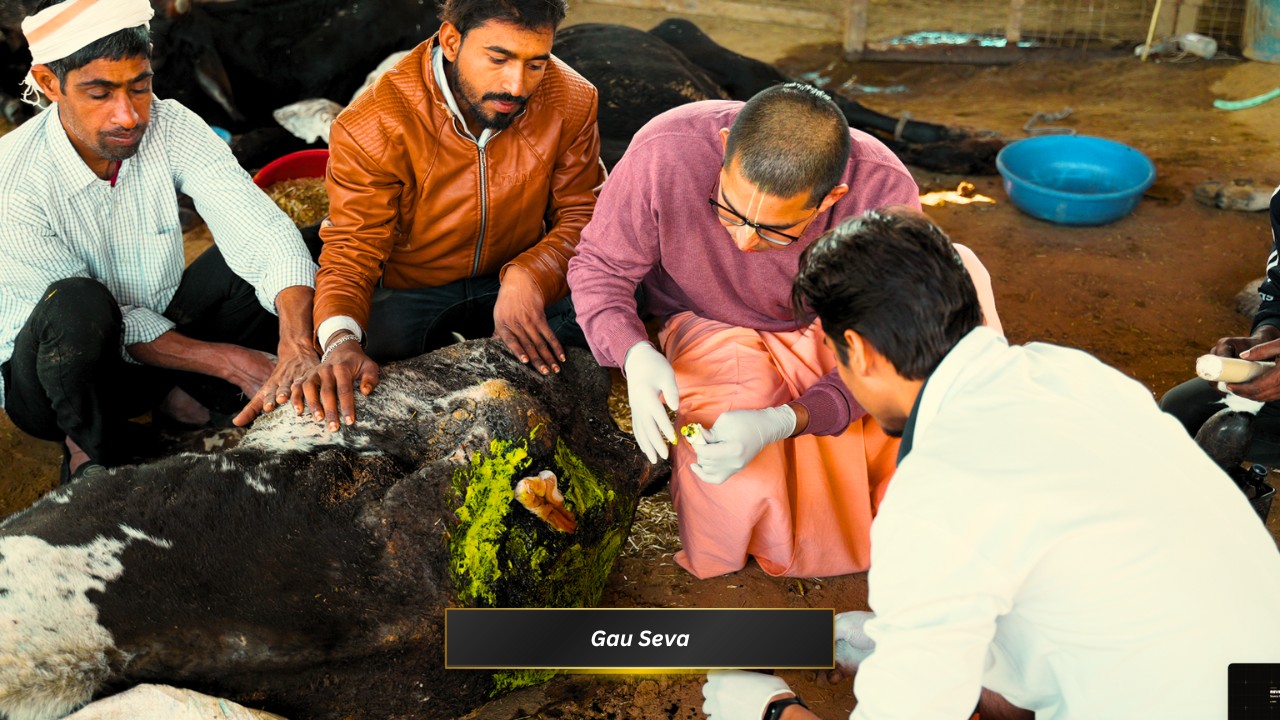 Cow Treatment Seva