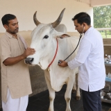 Nandi Medical Seva