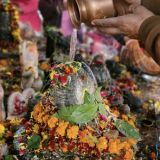 Shravan maas seva