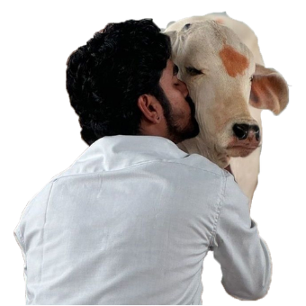 Gau Raksha Seva